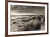 Windswept Sand Dunes on the Beach at Studland Bay, with Views Towards Old Harry Rocks, Dorset-Adam Burton-Framed Photographic Print