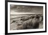 Windswept Sand Dunes on the Beach at Studland Bay, with Views Towards Old Harry Rocks, Dorset-Adam Burton-Framed Photographic Print