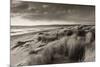 Windswept Sand Dunes on the Beach at Studland Bay, with Views Towards Old Harry Rocks, Dorset-Adam Burton-Mounted Photographic Print