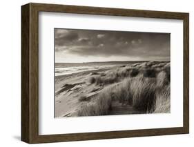 Windswept Sand Dunes on the Beach at Studland Bay, with Views Towards Old Harry Rocks, Dorset-Adam Burton-Framed Photographic Print