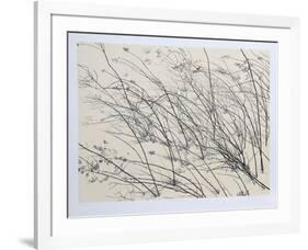 Windswept-Jon D'Orazio-Framed Collectable Print