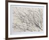 Windswept-Jon D'Orazio-Framed Collectable Print