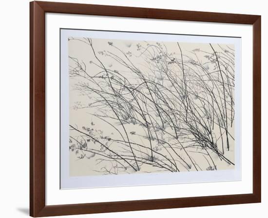 Windswept-Jon D'Orazio-Framed Collectable Print