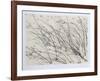 Windswept-Jon D'Orazio-Framed Collectable Print