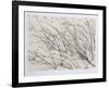 Windswept-Jon D'Orazio-Framed Collectable Print