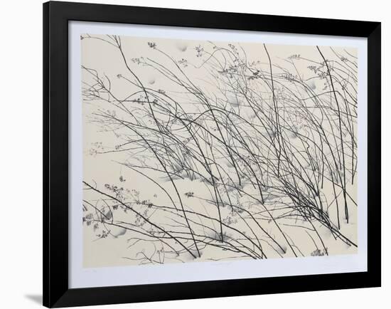 Windswept-Jon D'Orazio-Framed Collectable Print