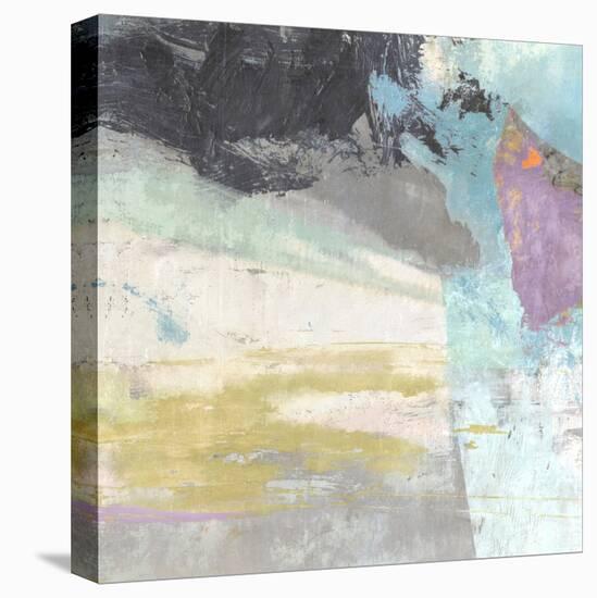 Windswept-Suzanne Nicoll-Stretched Canvas