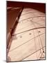 Windward Sail I-Alan Hausenflock-Mounted Photographic Print