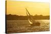 Windward Sunset II-Alan Hausenflock-Stretched Canvas
