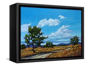 Windy Day In Colorado-Patty Baker-Framed Stretched Canvas