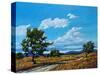 Windy Day In Colorado-Patty Baker-Stretched Canvas