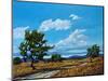 Windy Day In Colorado-Patty Baker-Mounted Art Print