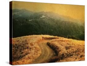 Windy Trail on Hill-Robert Cattan-Stretched Canvas