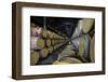 Wine Ageing in Oak Barrels in a Cellar at a Winery in the Alto Douro Region of Portugal, Europe-Alex Treadway-Framed Photographic Print