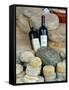 Wine and Cheese at Open-Air Market, Lake Maggiore, Arona, Italy-Lisa S. Engelbrecht-Framed Stretched Canvas