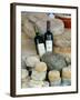 Wine and Cheese at Open-Air Market, Lake Maggiore, Arona, Italy-Lisa S. Engelbrecht-Framed Premium Photographic Print