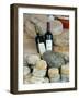 Wine and Cheese at Open-Air Market, Lake Maggiore, Arona, Italy-Lisa S. Engelbrecht-Framed Photographic Print