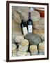 Wine and Cheese at Open-Air Market, Lake Maggiore, Arona, Italy-Lisa S. Engelbrecht-Framed Photographic Print