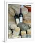 Wine and Cheese at Open-Air Market, Lake Maggiore, Arona, Italy-Lisa S. Engelbrecht-Framed Photographic Print