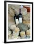 Wine and Cheese at Open-Air Market, Lake Maggiore, Arona, Italy-Lisa S. Engelbrecht-Framed Photographic Print