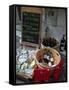 Wine and Cheese Shop, Lake Garda, Bardolino, Italy-Lisa S^ Engelbrecht-Framed Stretched Canvas