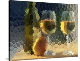 Wine and Glasses Behind Frosted Glass-Mitch Diamond-Stretched Canvas