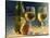 Wine and Glasses Behind Frosted Glass-Mitch Diamond-Stretched Canvas