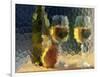 Wine and Glasses Behind Frosted Glass-Mitch Diamond-Framed Photographic Print