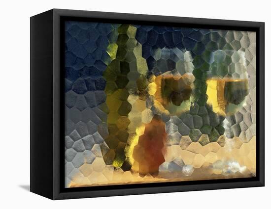 Wine and Glasses Behind Frosted Glass-Mitch Diamond-Framed Stretched Canvas
