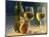 Wine and Glasses Behind Frosted Glass-Mitch Diamond-Mounted Photographic Print