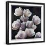 Wine and Roses-Sydney Edmunds-Framed Giclee Print