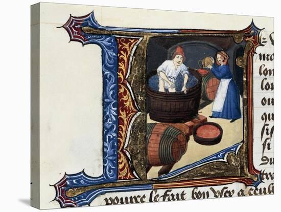 Wine and the Pressing of Grapes, Miniature from the Treaty of Medicine Aldebrande of Florence, 1356-null-Stretched Canvas