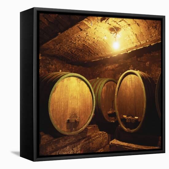 Wine Barrels of the Valdhuber Wine Estate, Svecina, Slovenia-Armin Faber-Framed Stretched Canvas