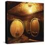 Wine Barrels of the Valdhuber Wine Estate, Svecina, Slovenia-Armin Faber-Stretched Canvas