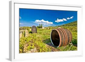 Wine Barrels on Stari Grad Plain-xbrchx-Framed Photographic Print