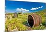 Wine Barrels on Stari Grad Plain-xbrchx-Mounted Photographic Print