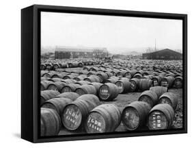 Wine Barrels-null-Framed Stretched Canvas