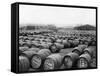 Wine Barrels-null-Framed Stretched Canvas