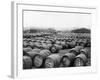 Wine Barrels-null-Framed Photographic Print