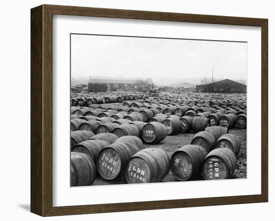 Wine Barrels-null-Framed Photographic Print