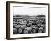 Wine Barrels-null-Framed Photographic Print