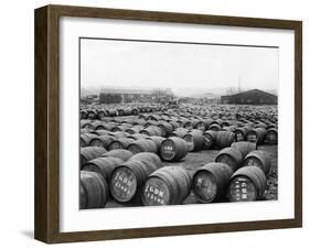 Wine Barrels-null-Framed Photographic Print