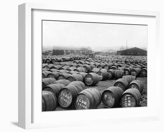 Wine Barrels-null-Framed Photographic Print