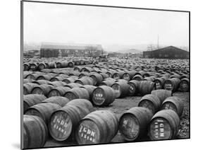 Wine Barrels-null-Mounted Photographic Print