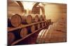 Wine Barrels-Acosta-Mounted Photographic Print