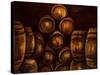 Wine Barrels-Jodi Monahan-Stretched Canvas