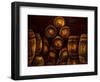 Wine Barrels-Jodi Monahan-Framed Premium Giclee Print