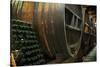 Wine Barrels-Lantern Press-Stretched Canvas