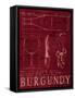 Wine Blueprint I-Marco Fabiano-Framed Stretched Canvas