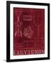 Wine Blueprint IV-Marco Fabiano-Framed Art Print